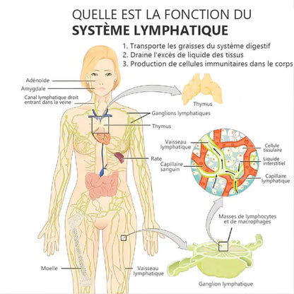 🔮 Pendientes de Germanio ¡Terapia de acupresión y desintoxicación!