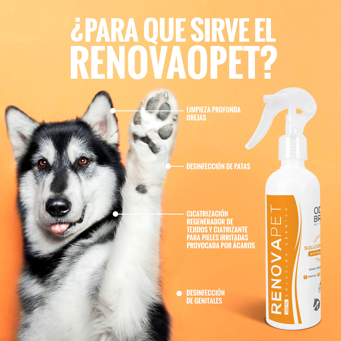 RenovaPet piel sana para perros