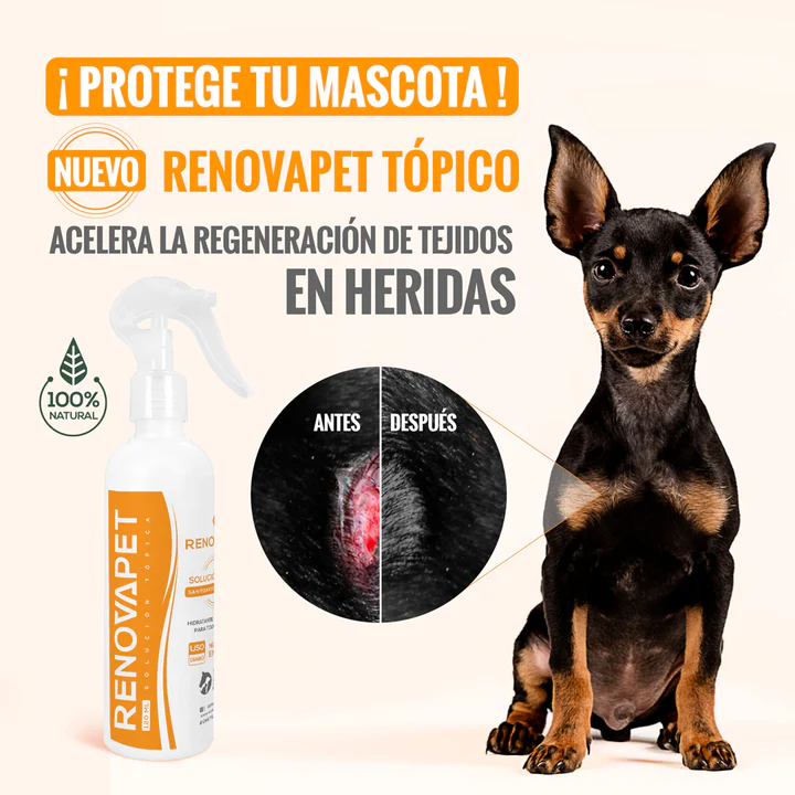 RenovaPet piel sana para perros