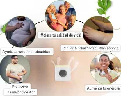 Parches adelgazantes bee venom™