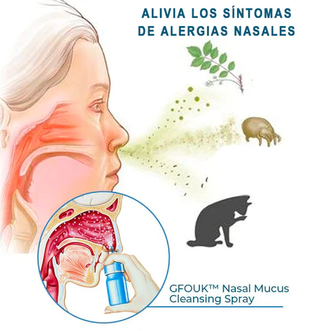 Spray para la Rinitis Salud Max